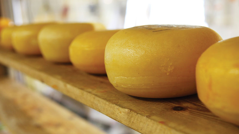 formaggio-2