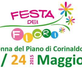 festa dei fiori 2015 - feat